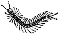 EAC029AA.JPG