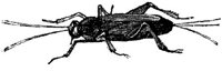 EAC029A.JPG