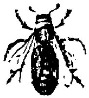 EAC028Y.JPG