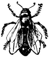 EAC028X.JPG