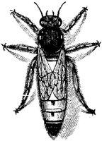 EAC028U.JPG