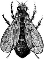 EAC028R.JPG