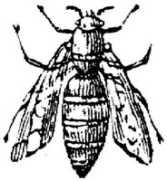 EAC028Q.JPG