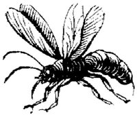 EAC028P.JPG