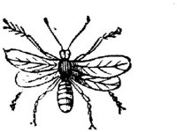 EAC028O.JPG