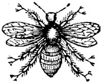 EAC028N.JPG