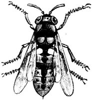 EAC028M.JPG