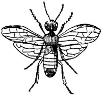EAC028GG.JPG