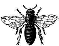 EAC028FF.JPG