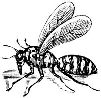 EAC028EE.JPG