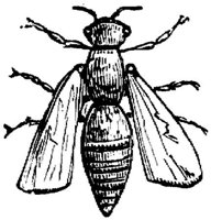 EAC028CC.JPG
