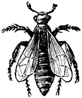EAC028BB.JPG