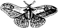 EAA153L.JPG