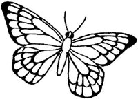 DEC084V.JPG