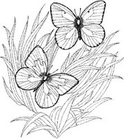 BTF009A.JPG