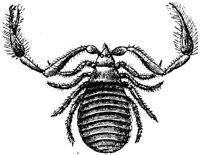 AMB259C.JPG