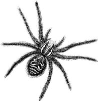 AMB258E.JPG