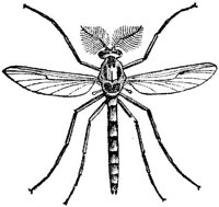 AMB257E.JPG