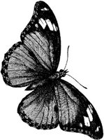 AMB237E.JPG