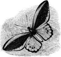 AMB237D.JPG