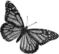 AMB236E.JPG