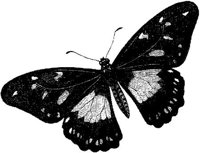 AMB234E.JPG