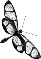 AMB234D.JPG