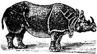 EAC014W.JPG