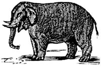 EAC014S.JPG