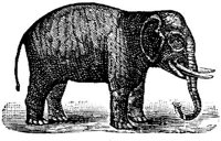 EAC014C.JPG