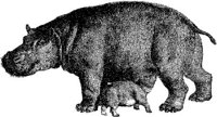 AMB058F.JPG