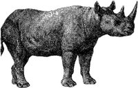 AMB058E.JPG
