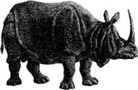 AMB058D.JPG