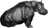 AMB058A.JPG