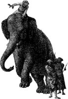 AMB054C.JPG