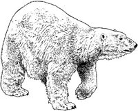 MAR019C.JPG