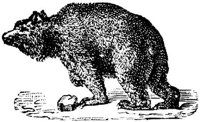 EAC014U.JPG
