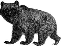 AMB042C.JPG