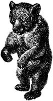 AMB040B.JPG