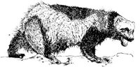 AIL024A.JPG