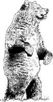 AIL013D.JPG