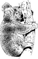 AIL003A.JPG