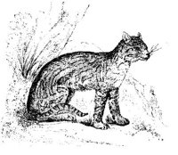 VSI079F.JPG