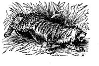 EAC026AA.JPG