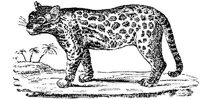 EAC014II.JPG