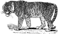 EAC014CC.JPG