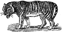 EAC014BB.JPG