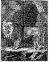 ANI122A.JPG