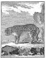 ANI120A.JPG