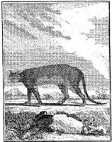 ANI117A.JPG